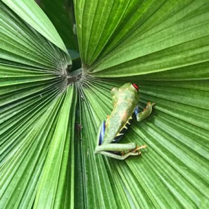 Voyage au Costa Rica De Ronald et Liliane