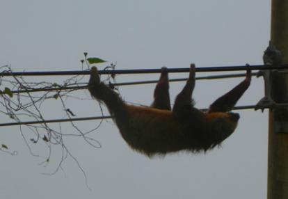 ©Gilles H. - Tous Droits réservés