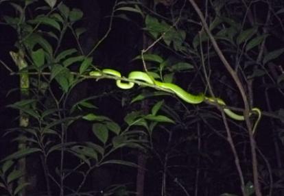 ©Gilles H. - Tous Droits réservés