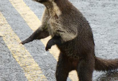 ©Gilles H. - Tous Droits réservés