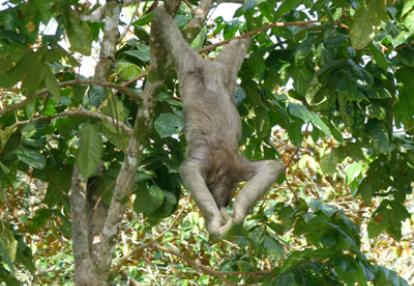 ©Jacques B. et sa Femme - Tous Droits réservés