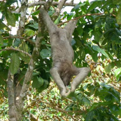 ©Jacques B. et sa Femme - Tous Droits réservés