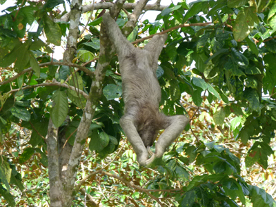 ©Jacques B. et sa Femme - Tous Droits réservés