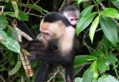 ©Jacques B. et sa Femme - Tous Droits réservés