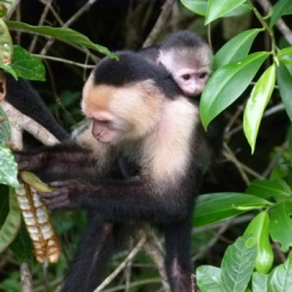 ©Jacques B. et sa Femme - Tous Droits réservés
