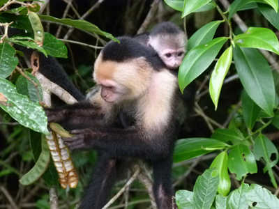 ©Jacques B. et sa Femme - Tous Droits réservés