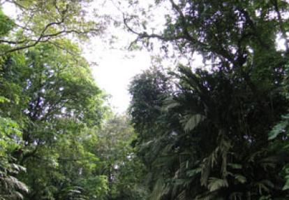 Voyage au Costa Rica de Danièle