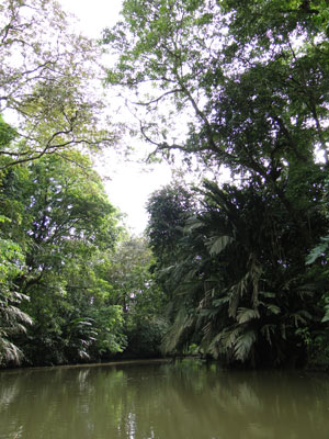 Voyage au Costa Rica de Danièle