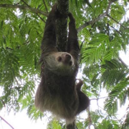 Voyage au Costa Rica de Claudine et Christian