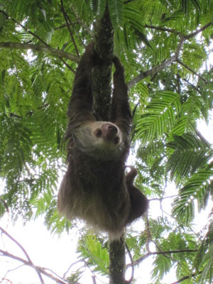 Voyage au Costa Rica de Claudine et Christian