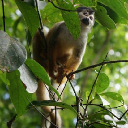 Voyage au Costa Rica de Géraldine