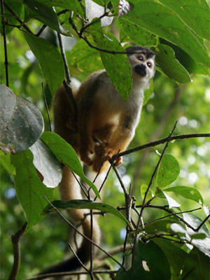 Voyage au Costa Rica de Géraldine