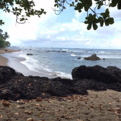 ©Nicole O. - Tous Droits Réservés Voyage au Costa Rica de Nicole