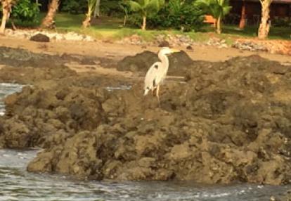 Voyage au Costa Rica de Nicole