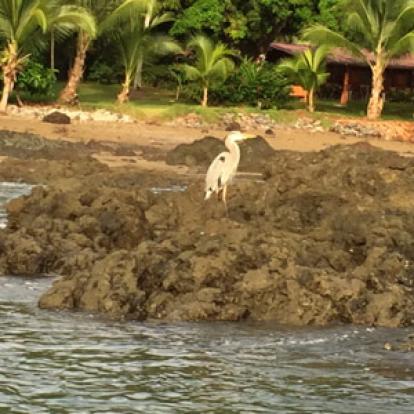 ©Nicole O. - Tous Droits Réservés Voyage au Costa Rica de Nicole