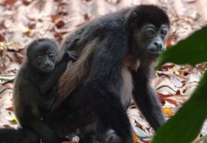 Voyage au Costa Rica de Stéphane