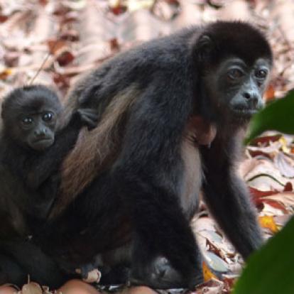 Voyage au Costa Rica de Stéphane