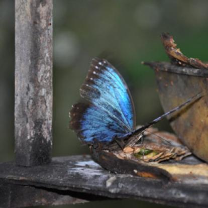 Voyage au Costa Rica de Patrick
