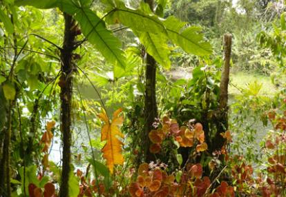 Voyage au Costa Rica de Magali