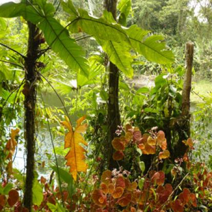 Voyage au Costa Rica de Magali