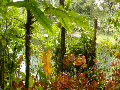 Voyage au Costa Rica de Magali