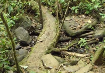©Magali G. - Tous Droits réservés Voyage au Costa Rica de Magali