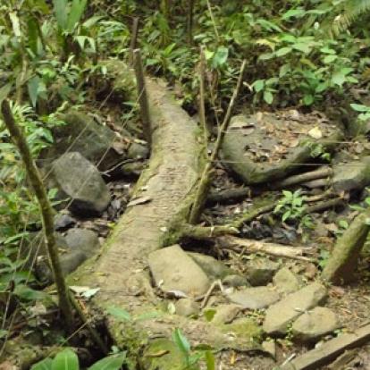 Voyage au Costa Rica de Magali