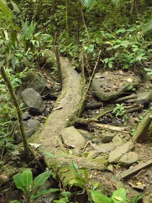 Voyage au Costa Rica de Magali