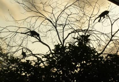 Voyage au Costa Rica de Magali