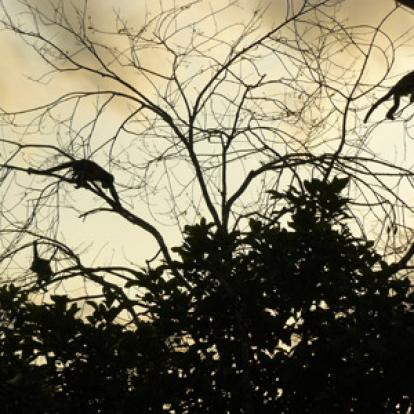 Voyage au Costa Rica de Magali