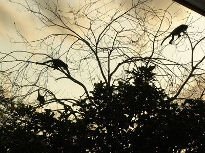 Voyage au Costa Rica de Magali