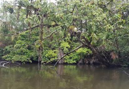 Voyage au Costa Rica de Jean-François et Elisabeth