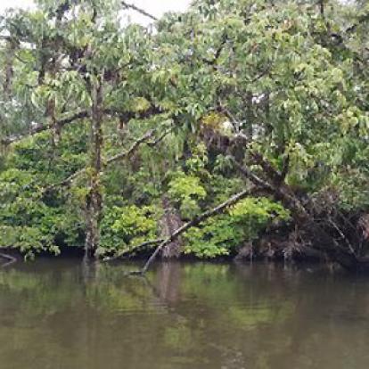 Voyage au Costa Rica de Jean-François et Elisabeth