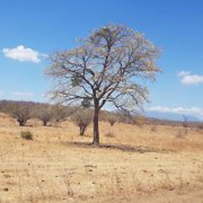Voyage au Costa Rica de Jean-François et Elisabeth