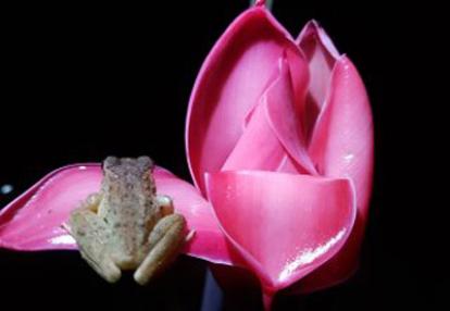 Voyage au Costa Rica de Jean-François et Elisabeth