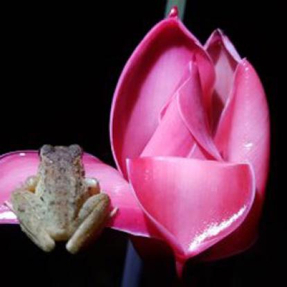 Voyage au Costa Rica de Jean-François et Elisabeth