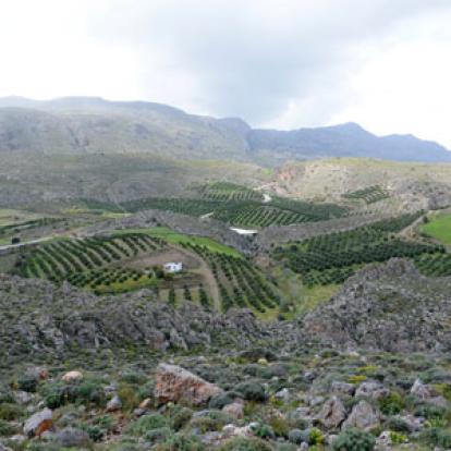 ©Patrick C. - Tous Droits Réservés Voyage en Crète de Patrick