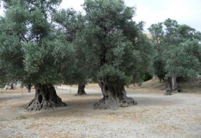 Voyage en Crète de Nicolas