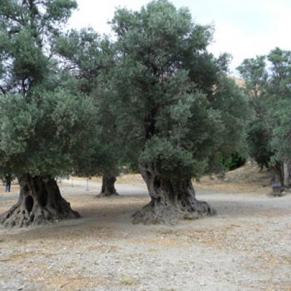 Voyage en Crète de Nicolas