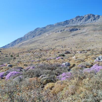 ©Bernard B. - Tous Droits Réservés Voyage en Crète de Bernard