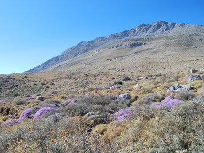 ©Bernard B. - Tous Droits réservés Voyage en Crète de Bernard