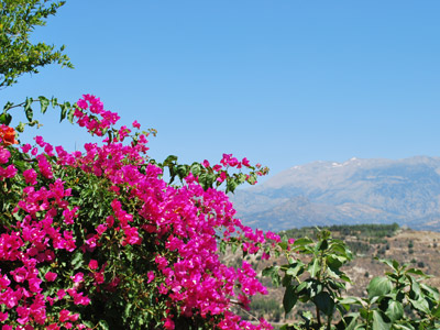 ©Bernard B. - Tous Droits réservés Voyage en Crète de Bernard