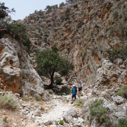 Voyage en Crète du Groupe de Colette