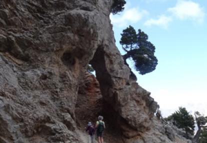Voyage en Crète du Groupe de Colette