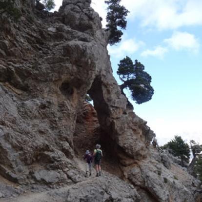 Voyage en Crète du Groupe de Colette