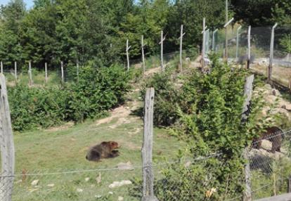 Voyage en Croatie de la Famille de Nathalie