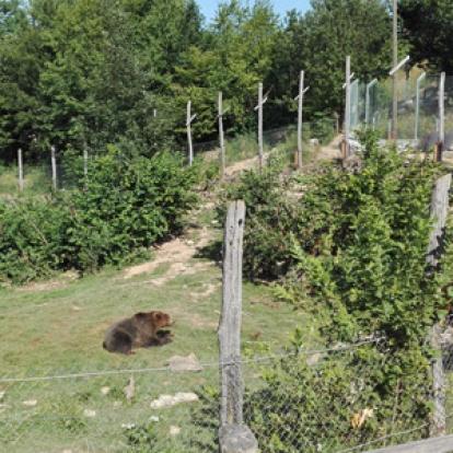 Voyage en Croatie de la Famille de Nathalie