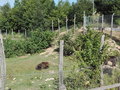 Voyage en Croatie de la Famille de Nathalie