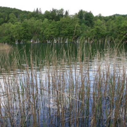 Voyage en Croatie du Groupe de Michel