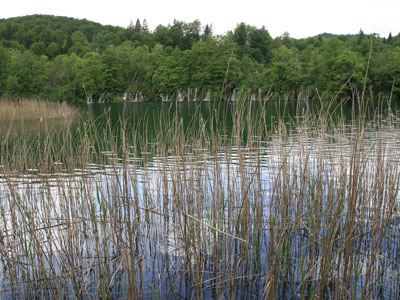 Voyage en Croatie du Groupe de Michel